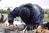 Filename=Novoli_2016_79_Di_Matteo.jpg
Filesize=156KB
Dimensions=1024x682
Date added=Feb 24, 2016 Novoli_2016_79_Di_Matteo.jpg