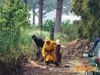Parete_2011_diurno_32_tiri.jpg