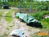 Parete_2012_04_Bruscella.jpg