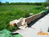 Parete_2012_07_Bruscella.jpg