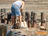Potenza_2010_052_Senatore.jpg