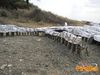 Potenza_2011_68_Padovano.jpg