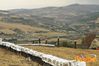 Potenza_2012_071_Padovano.jpg