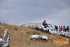 Potenza_2012_104_Senatore.jpg