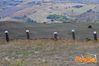 Potenza_2013_044_Padovano.jpg