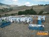 Potenza_2013_124_Lieto.jpg