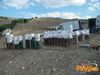 Potenza_2013_125_Lieto.jpg