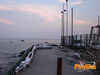 Raito_2010_Di_Matteo_01.jpg