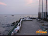 Raito_2010_Di_Matteo_02.jpg