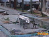 Raito_2010_Di_Matteo_03.jpg
