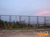 Raito_2010_Di_Matteo_11.jpg