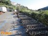 Ravello_2010_Boccia_Giovanni_05.jpg