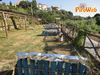 Ravello_2010_Boccia_Giovanni_10.jpg