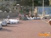 Recco_2012_29_Flli_Scudo_Spiaggia.jpg