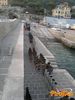 Recco_2012_34_Flli_Scudo_Spiaggia.jpg