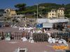 Recco_2012_45_Scudo_Gerardo_San_Martino.jpg