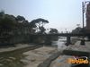 Recco_2012_55_mascoli.jpg