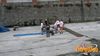 Recco_2012_59_mascoli.jpg