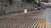 Recco_2012_63_mascoli.jpg