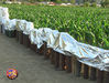 Rieti_2008_setup_24.jpg