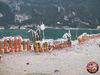 allestimento_Martarello_04.jpg
