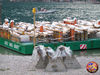 allestimento_Martarello_06.jpg