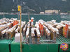 allestimento_Martarello_07.jpg