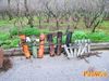 Roccarainola_2011_03_Pannella.jpg