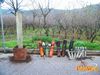 Roccarainola_2011_04_Pannella.jpg