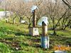 Roccarainola_2011_22_Romano.jpg