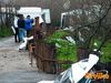 Roccarainola_2011_27_Romano.jpg