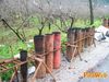 Roccarainola_2011_32_Romano.jpg