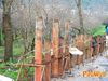 Roccarainola_2011_36_Romano.jpg