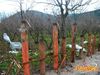 Roccarainola_2011_37_Romano.jpg