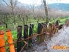 Roccarainola_2011_40_Romano.jpg