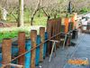 Roccarainola_2011_59_Scudo.jpg