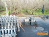 Roccarainola_2011_63_Scudo.jpg