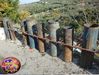 di_candia_08.jpg