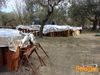 Rotello_2010_025_Puzo.jpg