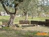 Rotello_2010_051_Del_Vicario.jpg