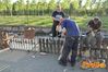 San_Marcellino_2011_36_Ferraro.jpg