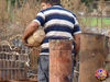 Filename=Romano_06.jpg
Filesize=218KB
Dimensions=1024x768
Date added=Oct 16, 2009 Romano_06.jpg