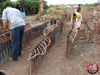 Filename=Romano_08.jpg
Filesize=336KB
Dimensions=1024x768
Date added=Oct 16, 2009 Romano_08.jpg