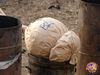 Filename=Romano_11.jpg
Filesize=179KB
Dimensions=1024x768
Date added=Oct 16, 2009 Romano_11.jpg