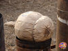 Filename=Romano_12.jpg
Filesize=178KB
Dimensions=1024x768
Date added=Oct 16, 2009 Romano_12.jpg