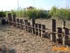 San_Marzano_2010_06_Di_Candia.jpg