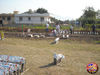 Filename=San_Vincenzo_27.jpg
Filesize=304KB
Dimensions=1024x768
Date added=Sep 22, 2009 San_Vincenzo_27.jpg