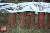 Filename=Pannella_06.jpg
Filesize=748KB
Dimensions=1024x683
Date added=Sep 28, 2009 Pannella_06.jpg