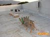 Scafati_2010_23_Romano.jpg