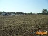 Scorrano_2013_015_diurno_Del_Vicario.jpg